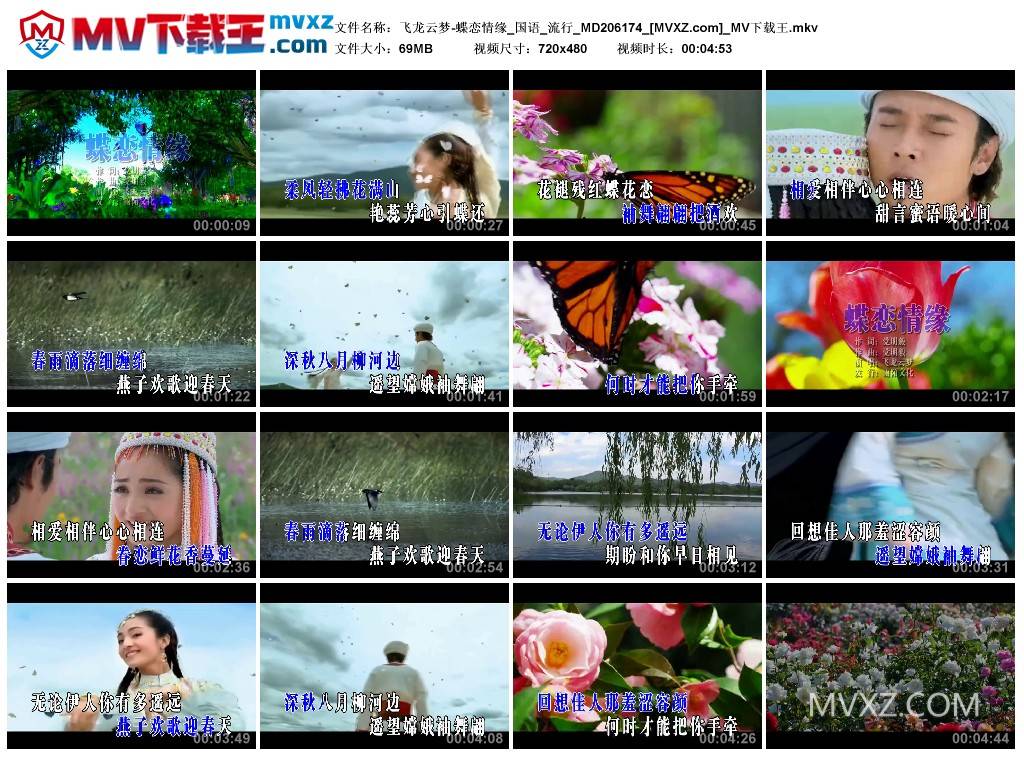 飞龙云梦-蝶恋情缘_国语_流行_MD206174